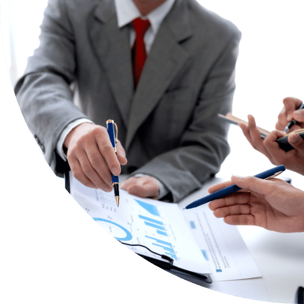 revisore legale bergamo